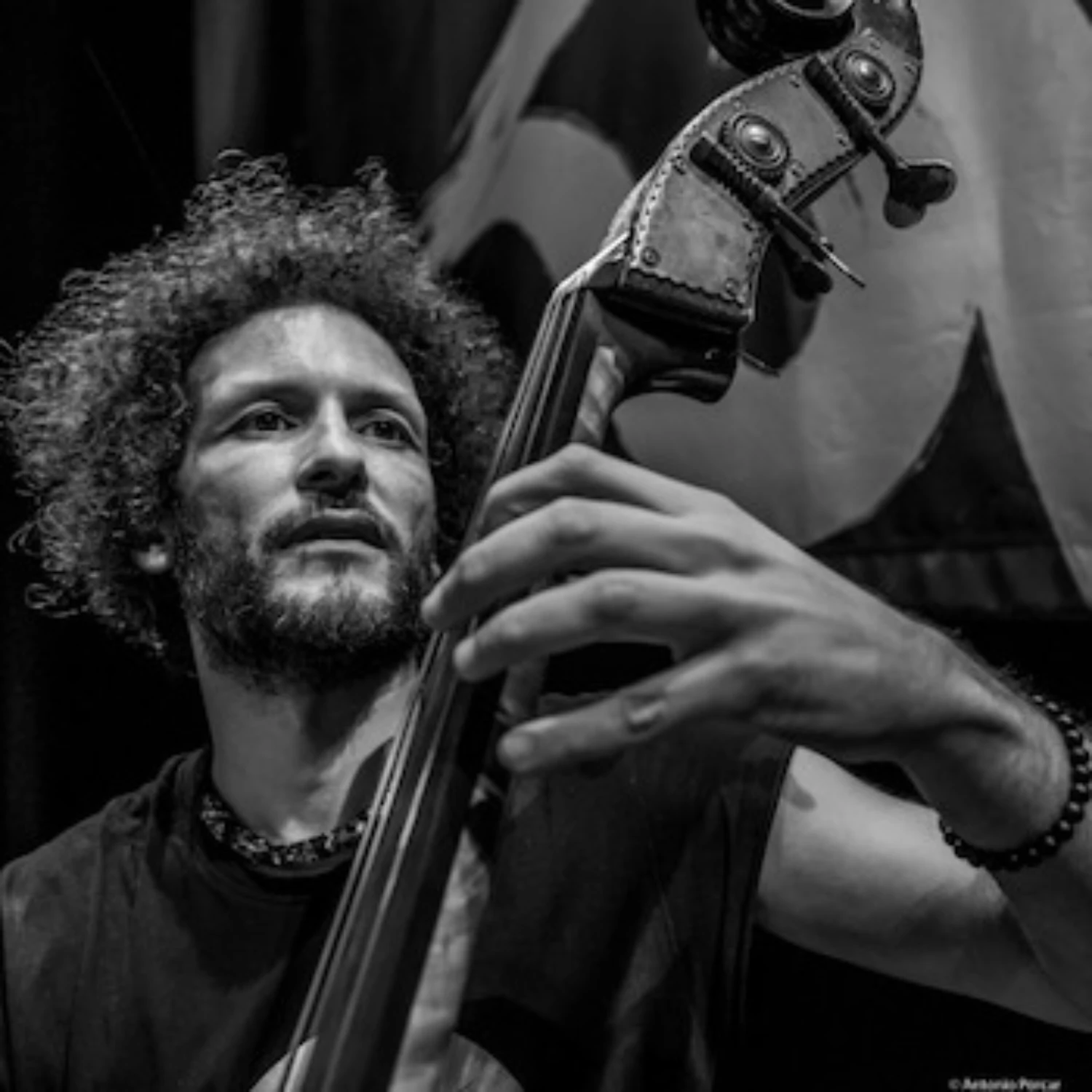 ales-cesarini