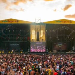 Rabolagartija 2024. disfrutavillena.com