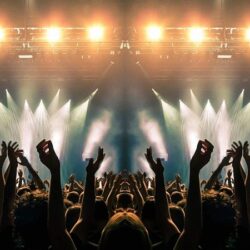 Rabolagartija 2024. disfrutavillena.com