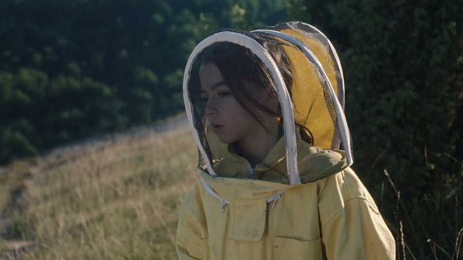 abejas