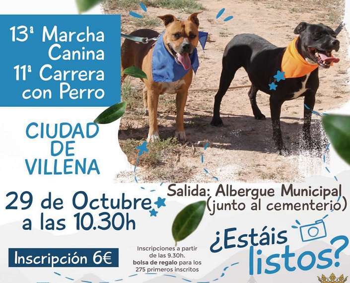 marcha-y-carrera